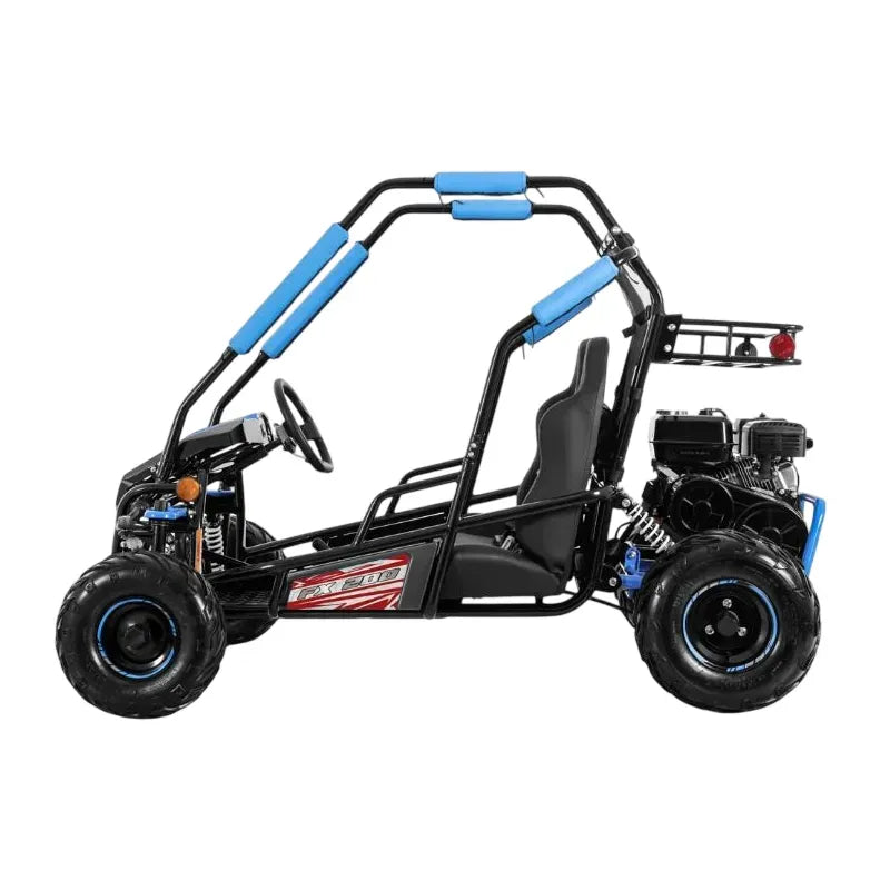 Buggy FX Easy 200cc Four Stroke 4 Tempi