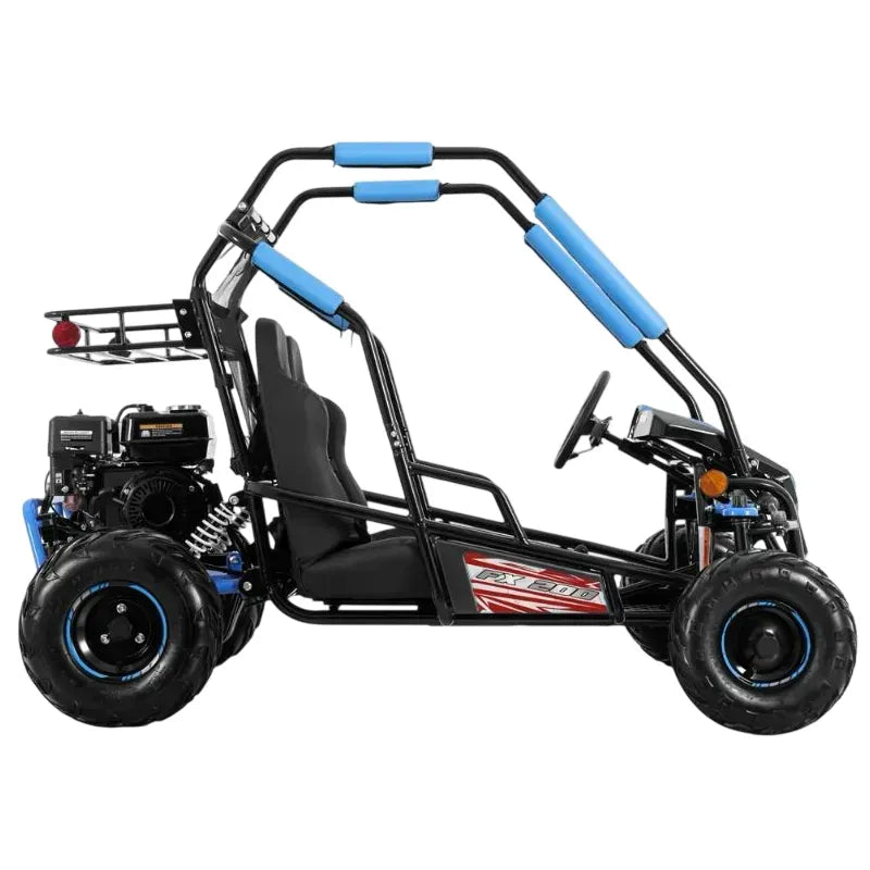 Buggy FX Easy 200cc Four Stroke 4 Tempi