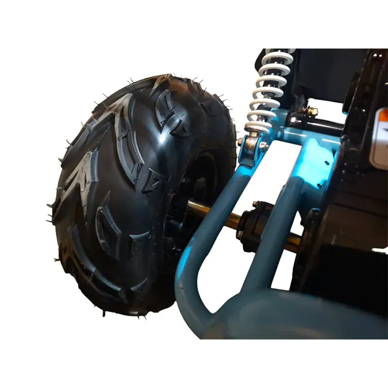 Buggy FX Easy 200cc Four Stroke 4 Tempi