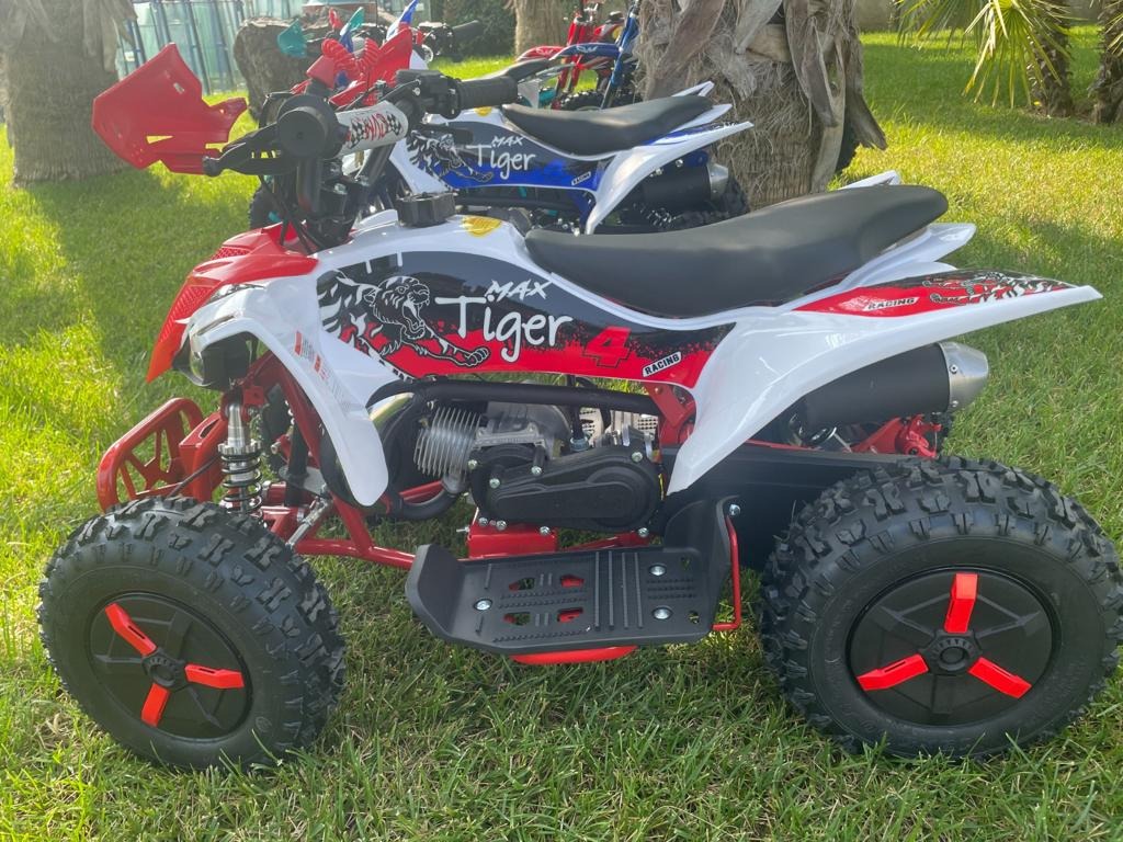 Mini Quad Tigre 50cc Ruote 6