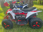 Mini Quad Tigre 50cc Ruote 6