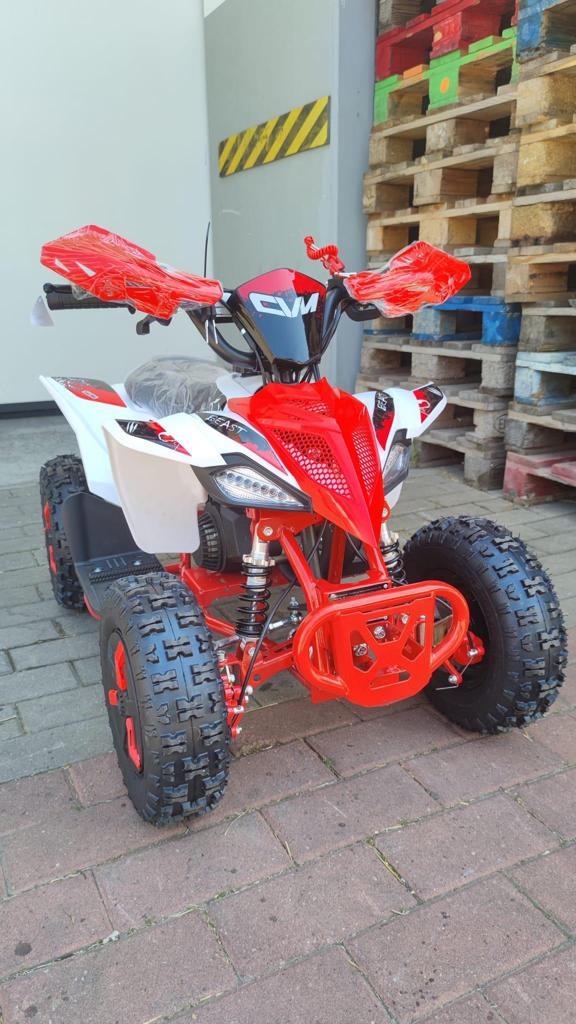 Mini Quad Tigre 50cc Ruote 6