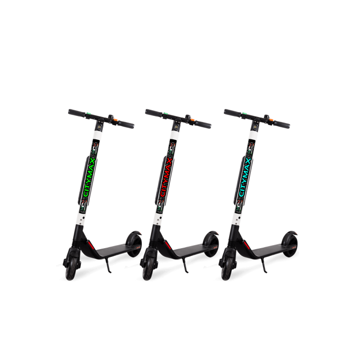 Monopattino Elettrico Citymove By Segway