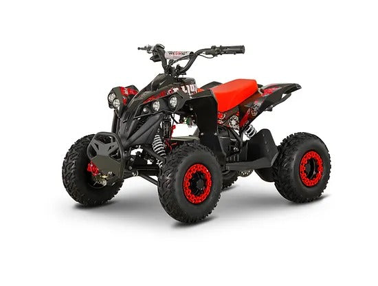 Mini Quad Lion 1200W 48V
