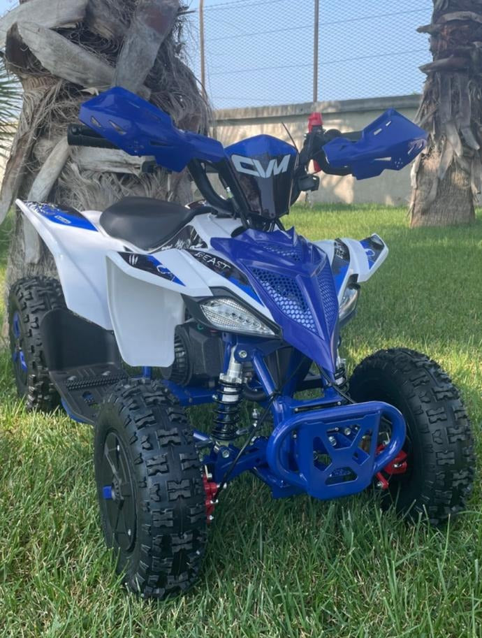 Mini Quad Tigre 50cc Ruote 6