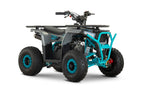 Quad Kimera 110cc Ruota 6 xxl Con Retro