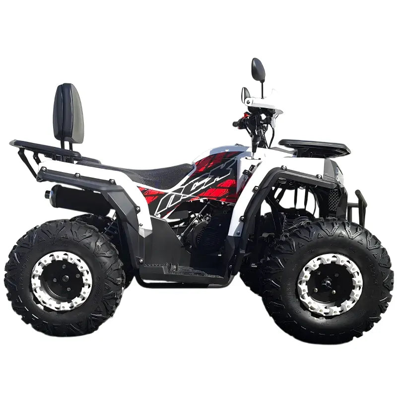 Maxi Quad Angry 200cc Ruote 10 Full Optional