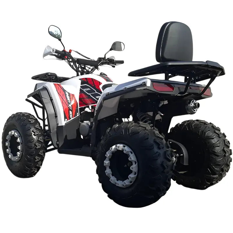 Maxi Quad Angry 200cc Ruote 10 Full Optional