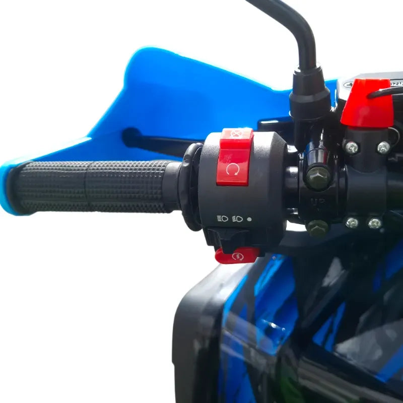 Maxi Quad Angry 200cc Ruote 10 Full Optional