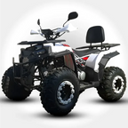 Maxi Quad Angry 200cc Ruote 10 Full Optional