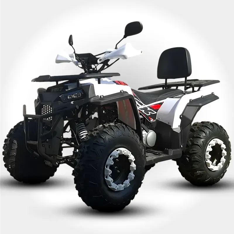 Maxi Quad Angry 200cc Ruote 10 Full Optional