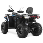 Maxi Quad Mammoth 270cc Ruote 10
