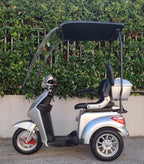Scooter Elettrico 1000 Watt S Rainproof 60V 3 Ruote - Targabile