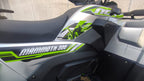 Quad Maxi Mammoth 300cc Ruote 12 - TARGABILE