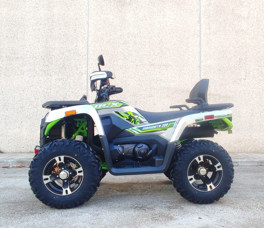 Quad Maxi Mammoth 300cc Ruote 12 - TARGABILE