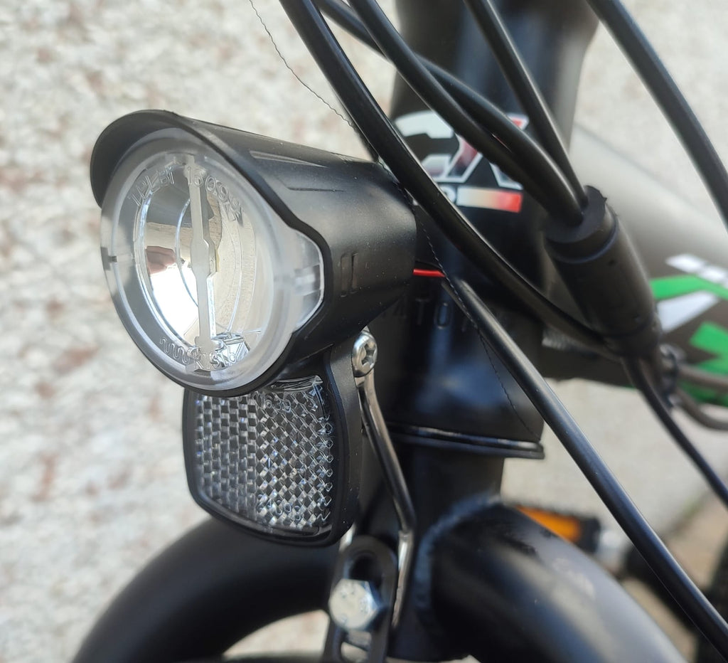 Bicicletta Elettrica Zero 250 Watt 36V 20"