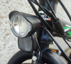 Bicicletta Elettrica Zero 250 Watt 36V 20"