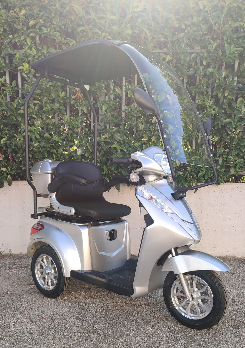 Scooter Elettrico 1000 Watt S Rainproof 60V 3 Ruote - Targabile