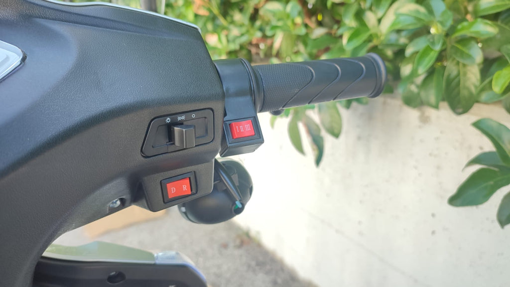 Scooter Elettrico 1000 Watt S Rainproof 60V 3 Ruote - Targabile