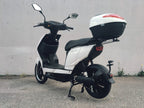 Scooter Elettrico RDR Eco PRO 800w TARGABILE 60V - 20AH