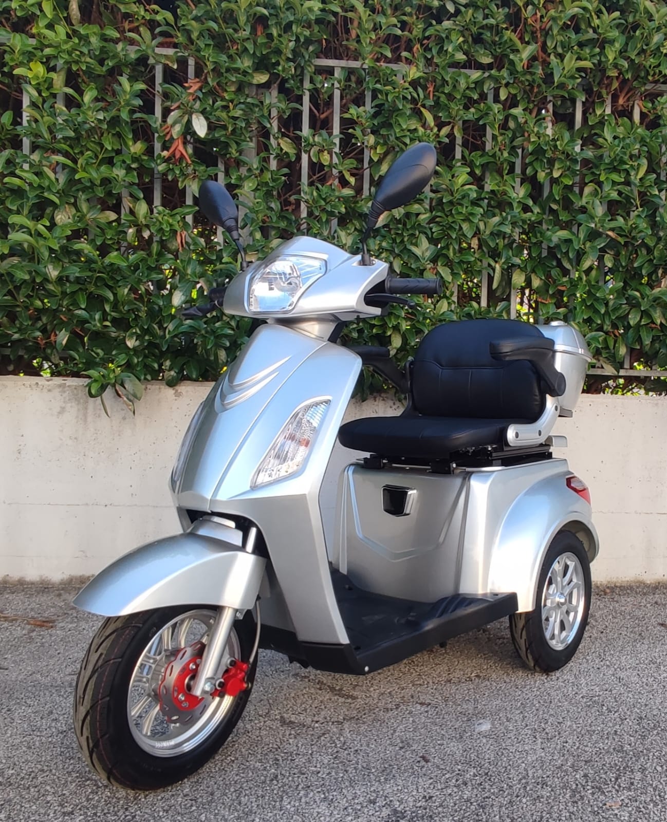 Scooter Elettrico 1000 Watt 60V 3 Ruote - Targabile