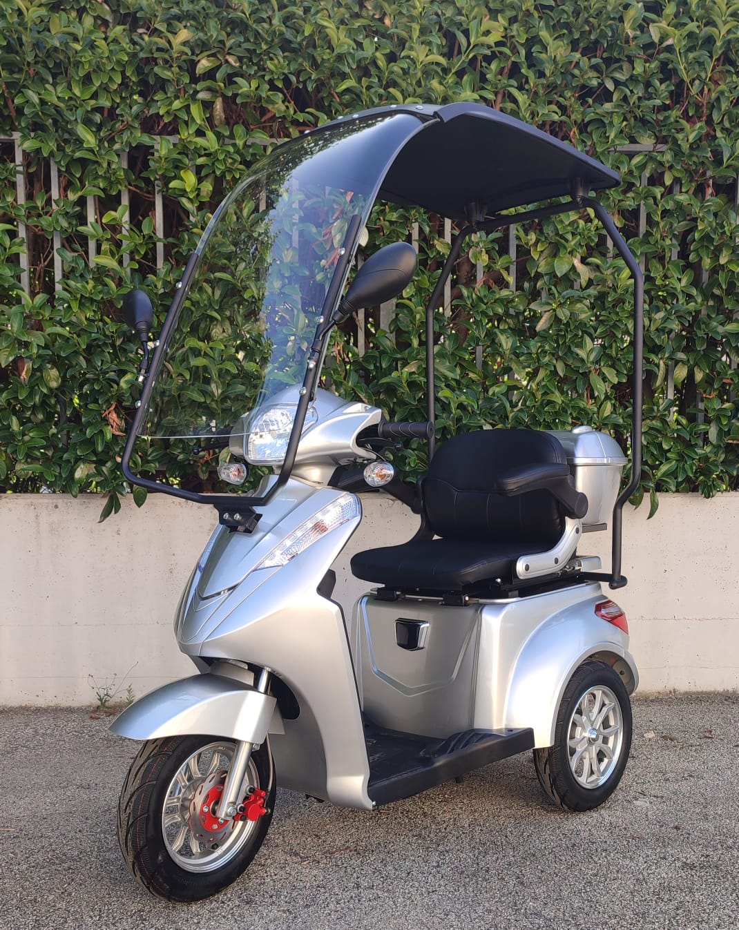 Scooter Elettrico 1000 Watt S Rainproof 60V 3 Ruote - Targabile