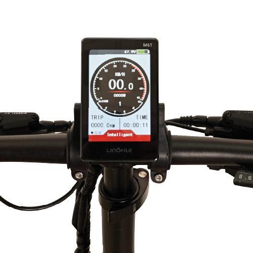 Bici Elettrica RD8 250 Watt - 48V