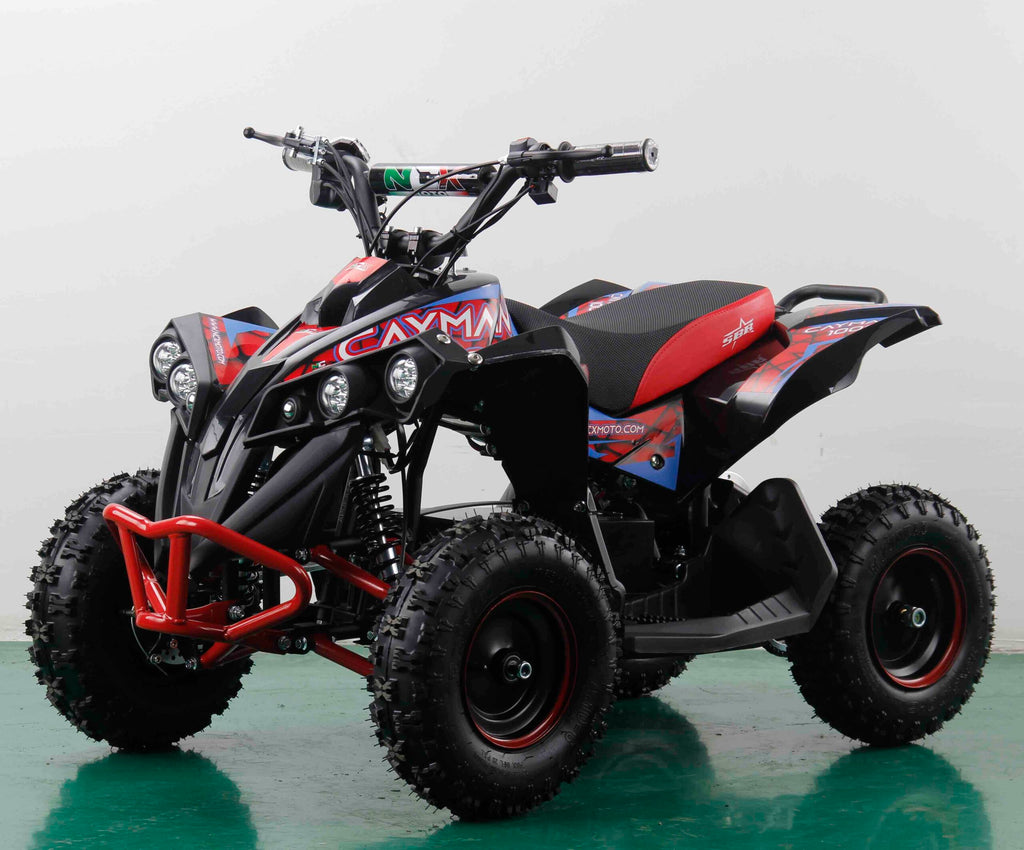 Mini Quad 1000 Watt - Elettrico