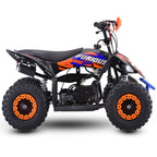 New Mini Quad Big  Furious 50cc Ruota 6