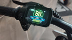 Bicicletta Elettrica Flatrack Nude 20" 500 Watt 48V - 16 AH
