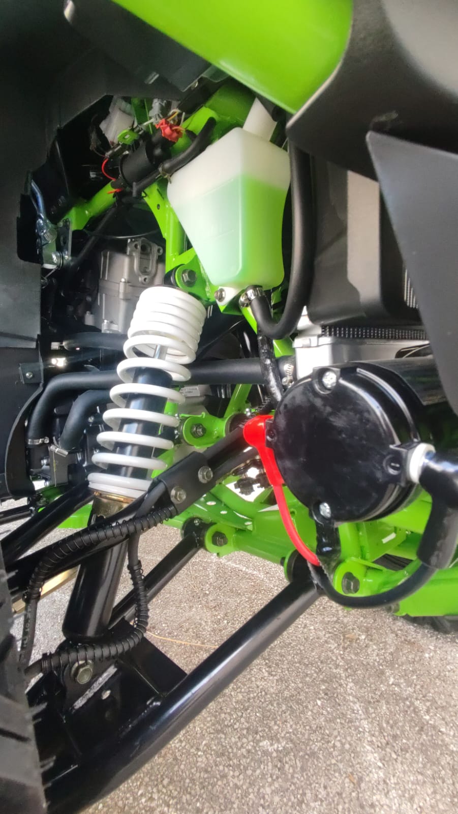Quad Maxi Mammoth 300cc Ruote 12 - TARGABILE
