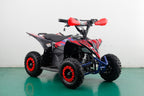 Mini Quad Furious Big 1000 Watt R6 - Elettrico