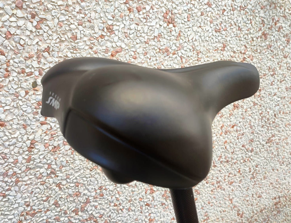 Bicicletta Elettrica Zero 250 Watt 36V 20"