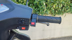 Scooter Elettrico 1000 Watt 60V 3 Ruote - Targabile