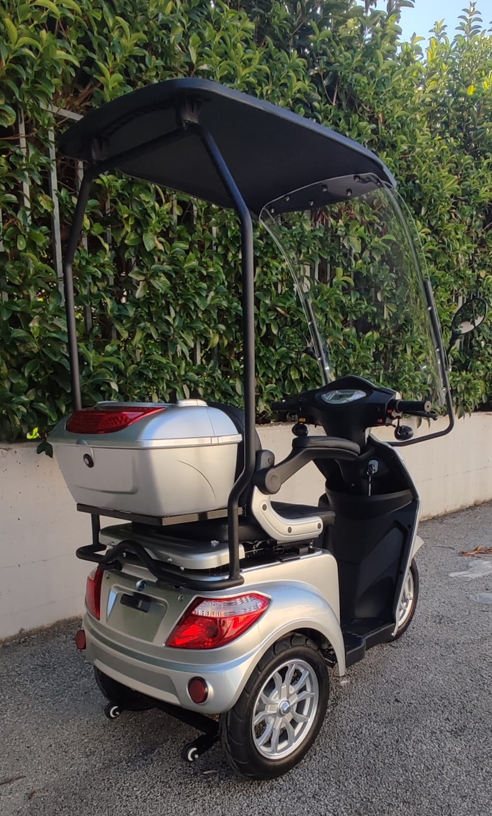 Scooter Elettrico 1000 Watt S Rainproof 60V 3 Ruote - Targabile