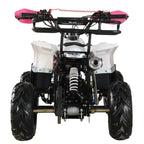 New Quad FURIOUS 125cc 4T Ruota 6 Revers